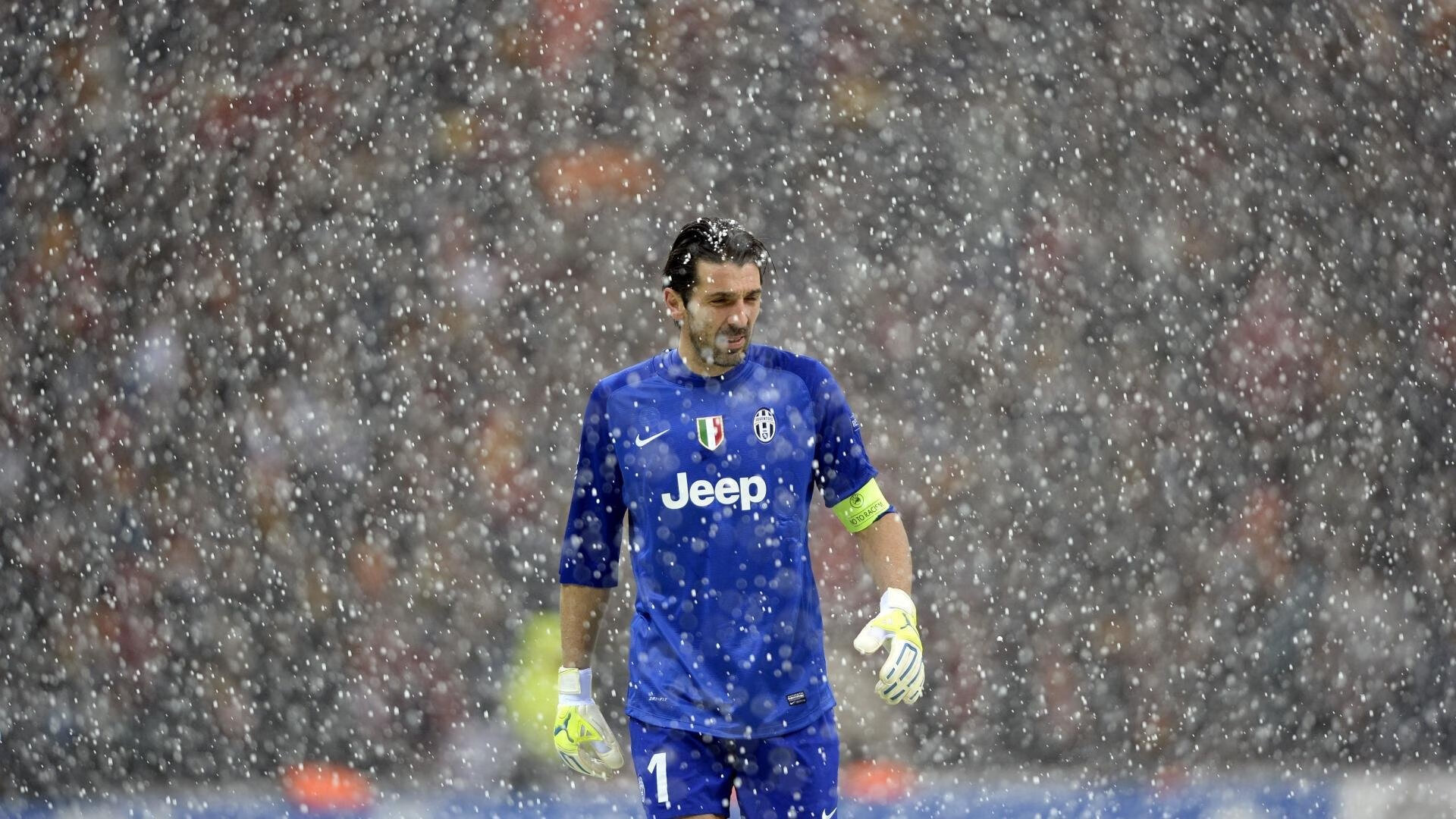 红牛二队惊天翻盘威廉姆斯,皮亚斯特里带队上演绝地反击